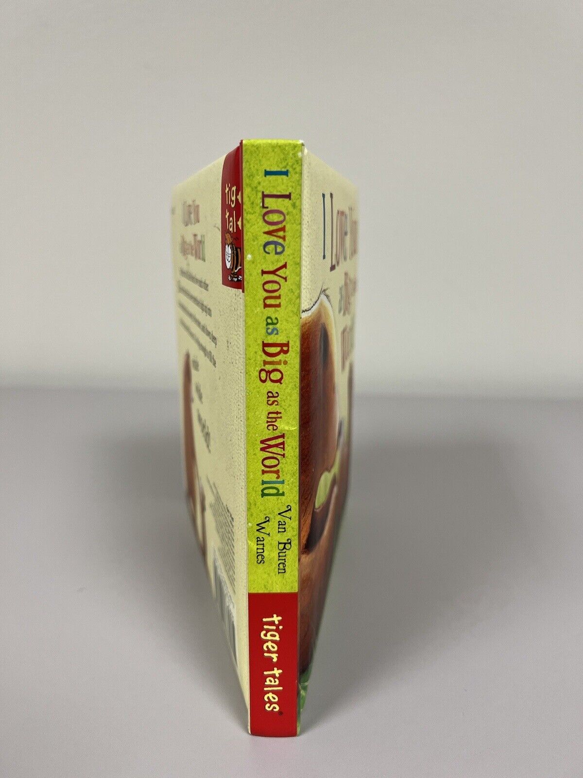 I Love You As Big As the World - board book, 9781589256033, David Van Buren