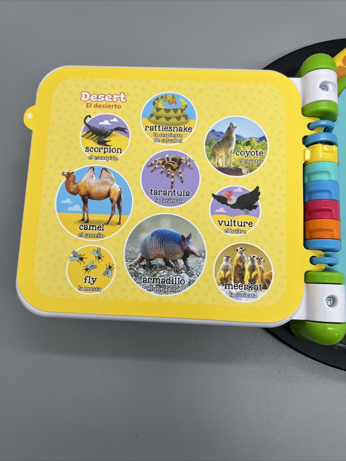 Leapfrog 100 Animals Book Spanish English Bilingual Teaching Learning