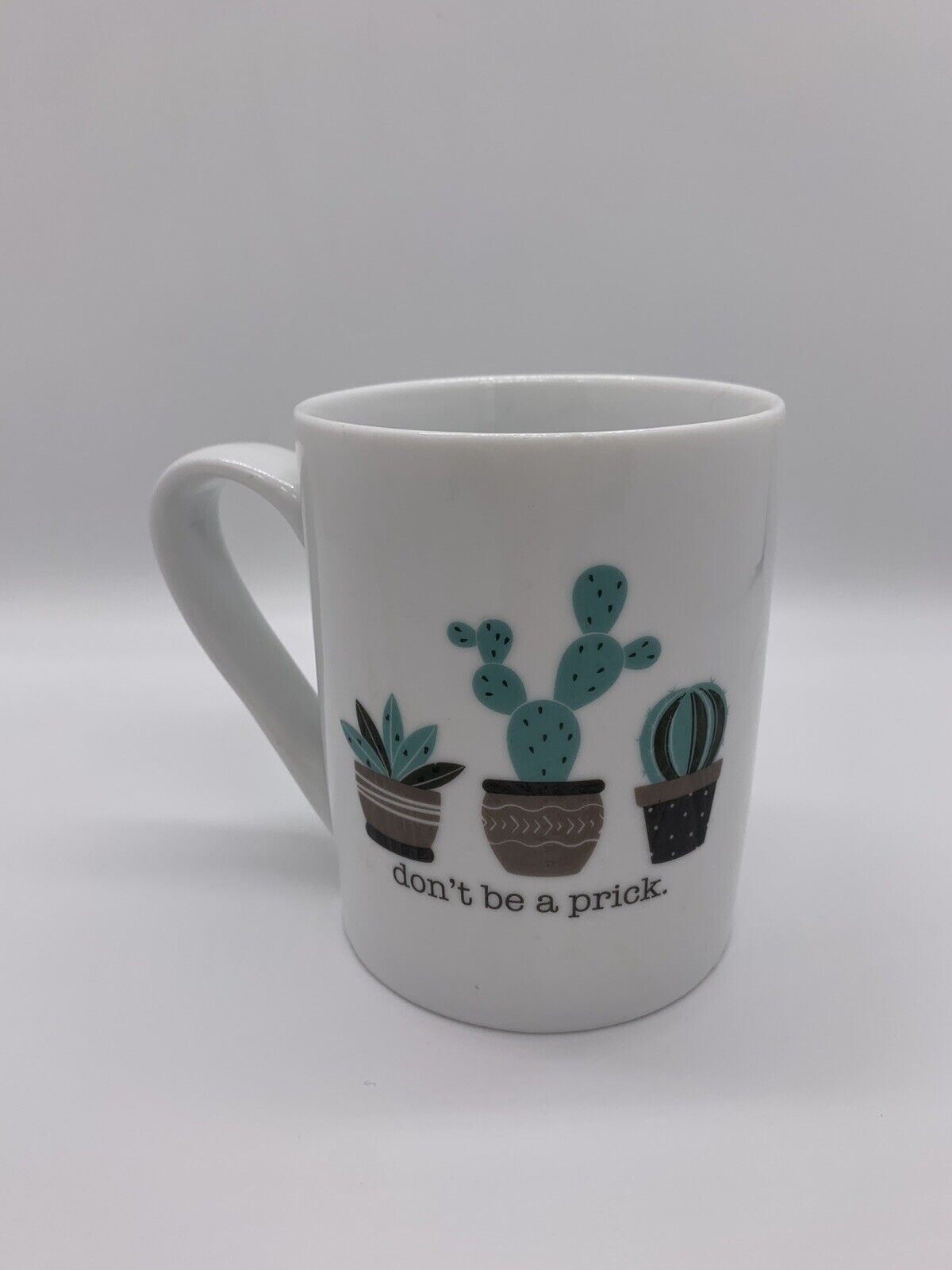 10 Strawberry Street Novelty Tea Mug “Don’t Be a Prick” Cactus Succulents