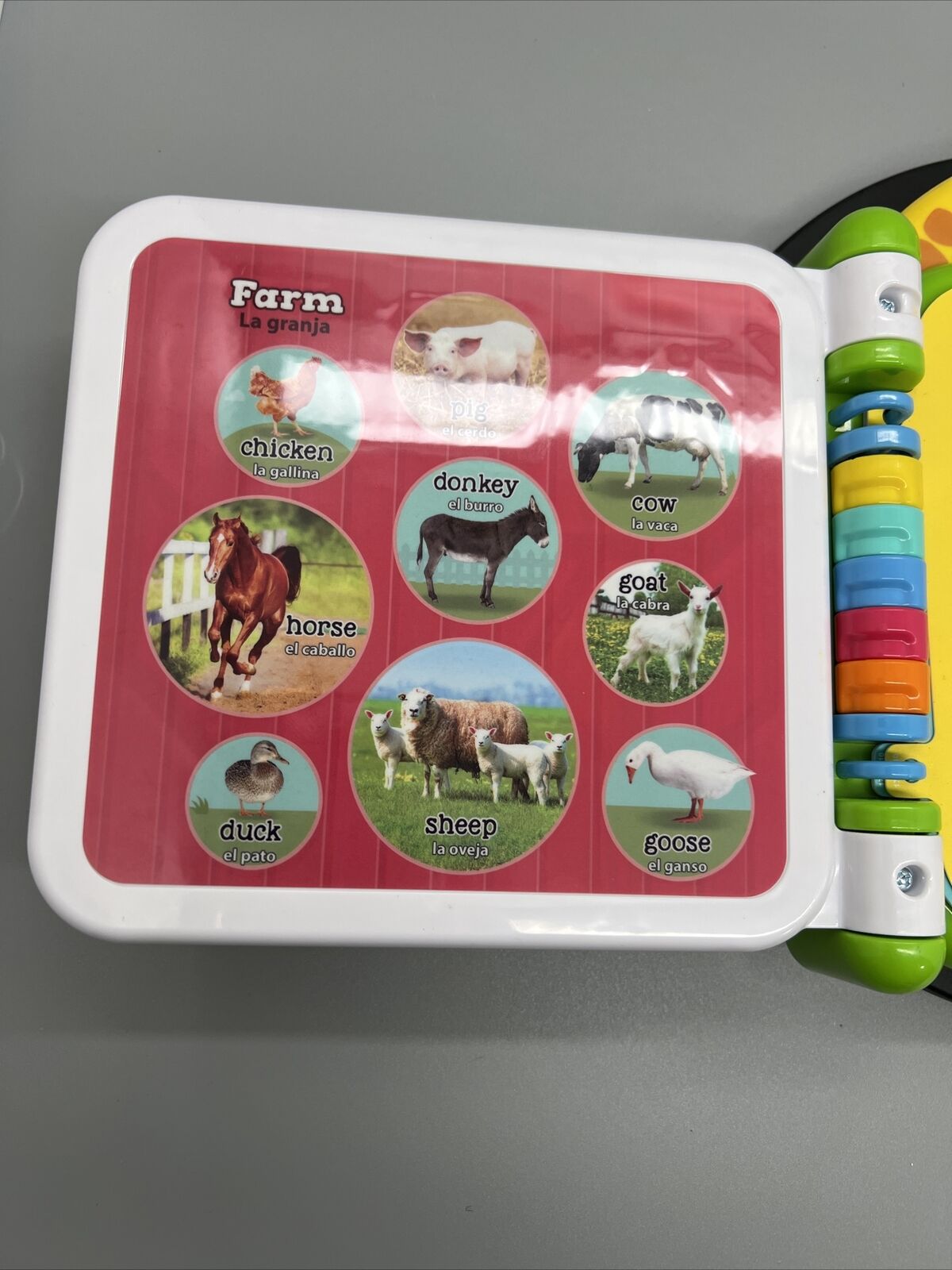 Leapfrog 100 Animals Book Spanish English Bilingual Teaching Learning