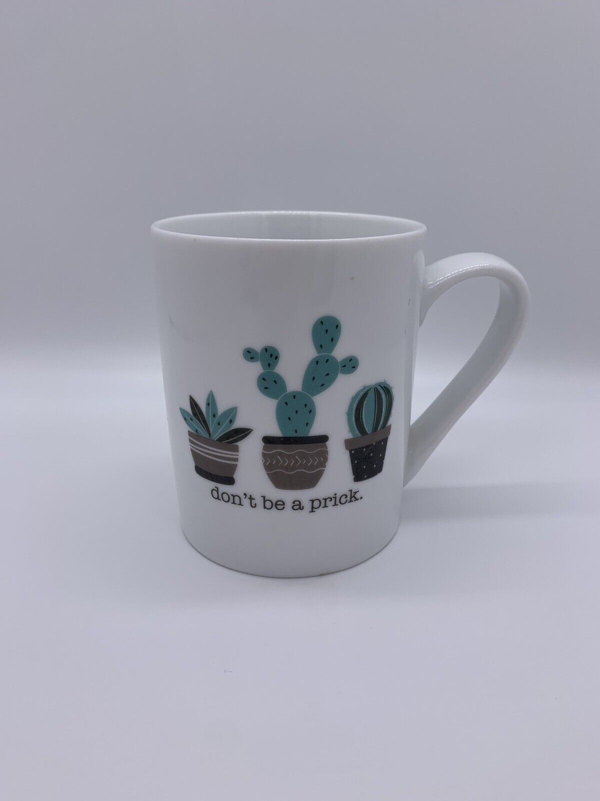 10 Strawberry Street Novelty Tea Mug “Don’t Be a Prick” Cactus Succulents