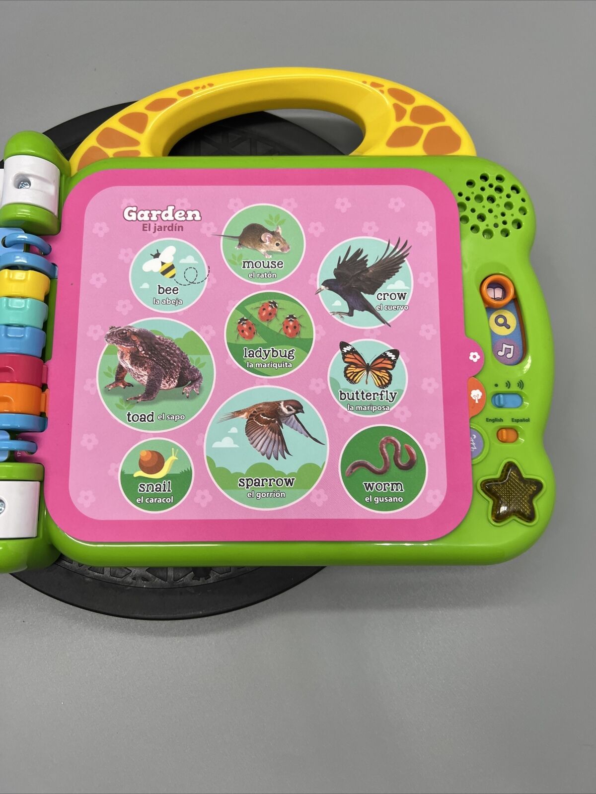 Leapfrog 100 Animals Book Spanish English Bilingual Teaching Learning