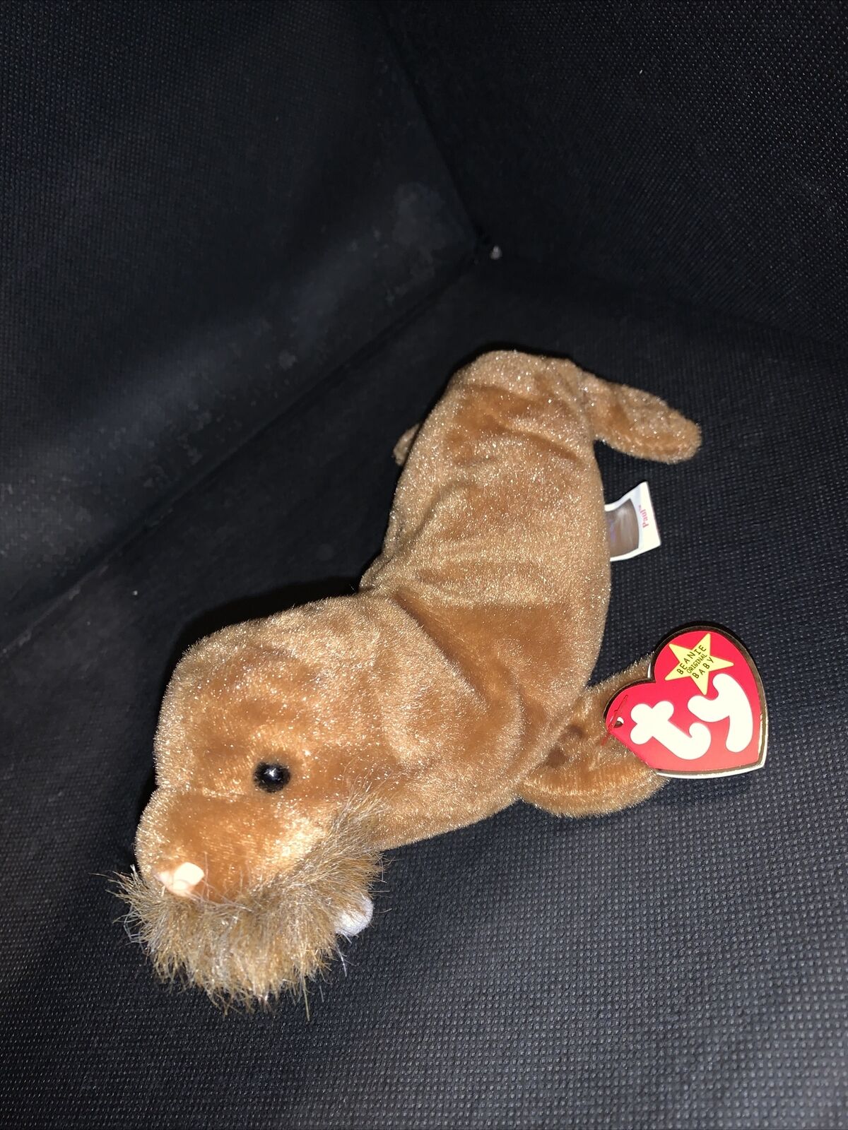 1999 TY Beanie Babies: PAUL THE WALRUS #4248 . Mint! Pristine