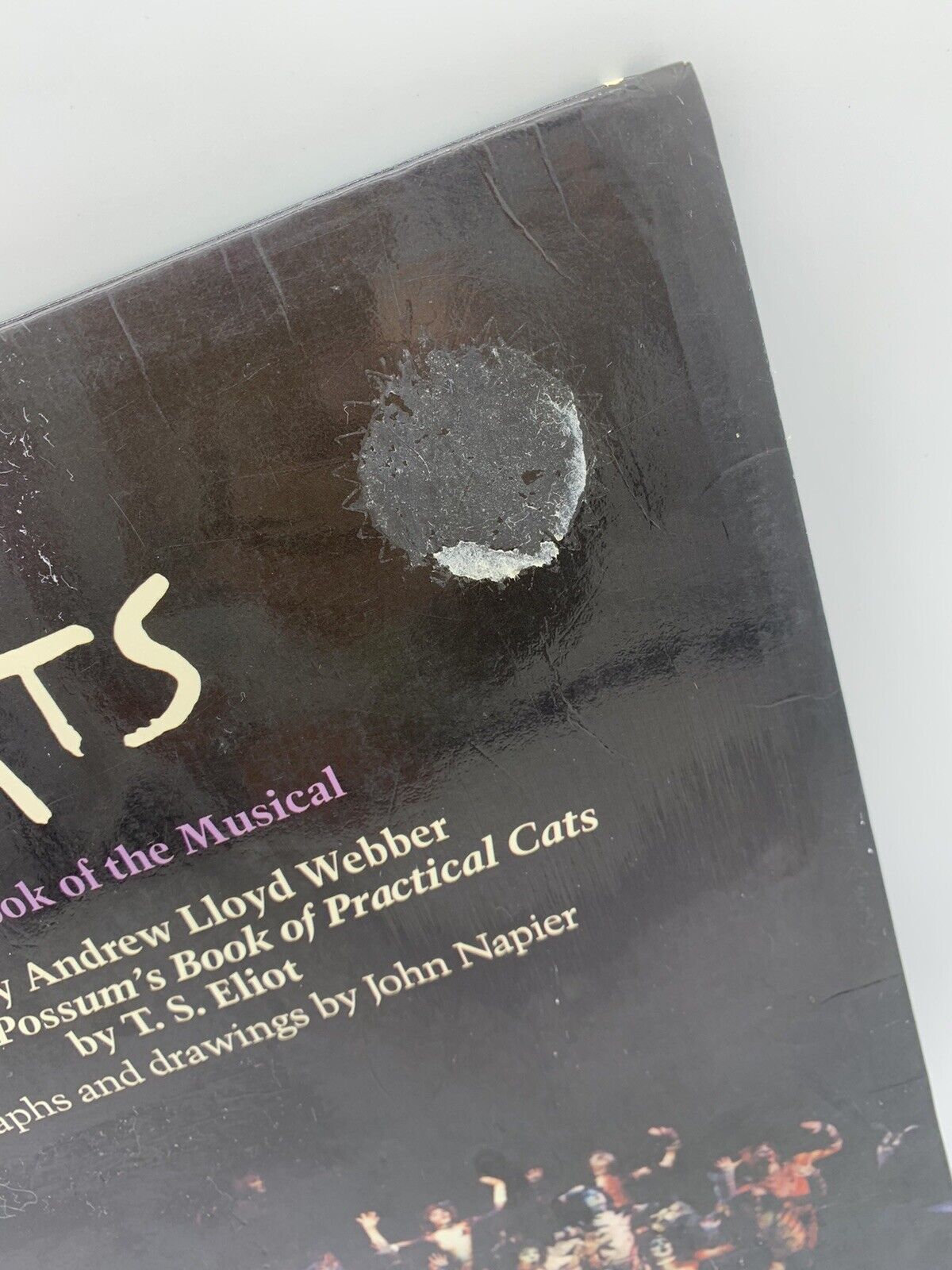 Cats: The Book of the Musical - Paperback By Eliot, T. S. First Edition Broadway