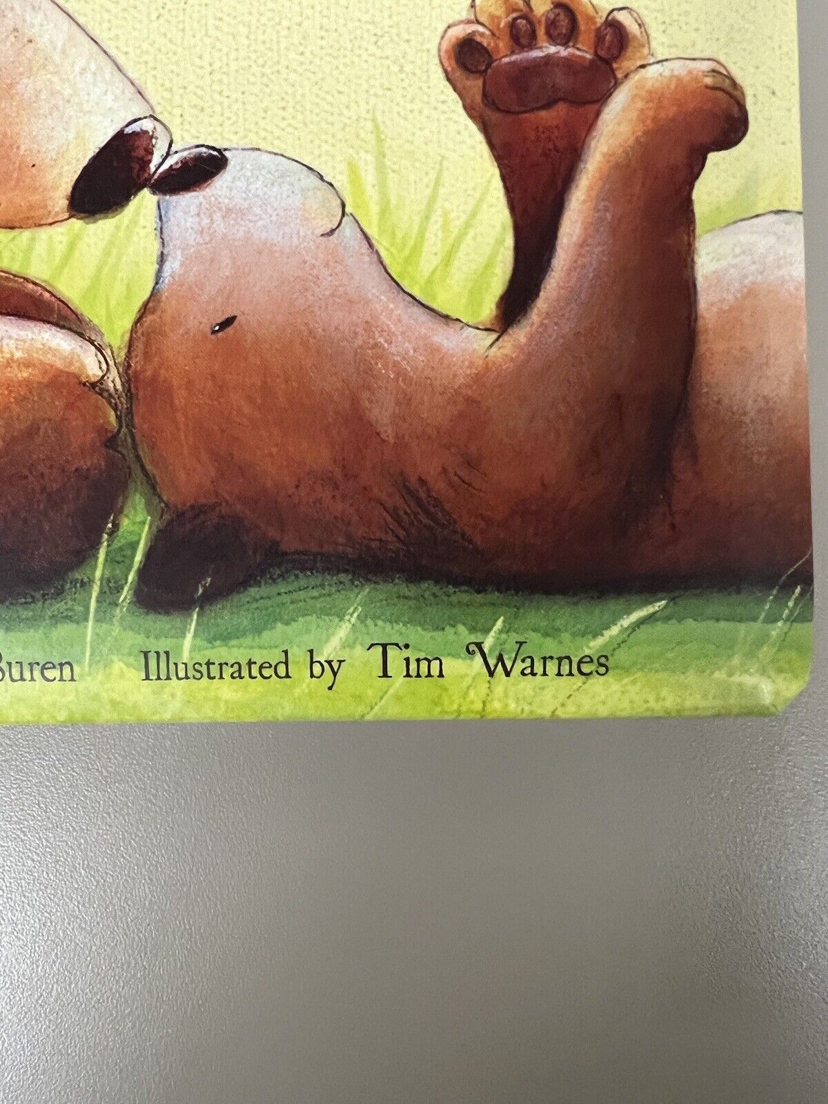 I Love You As Big As the World - board book, 9781589256033, David Van Buren