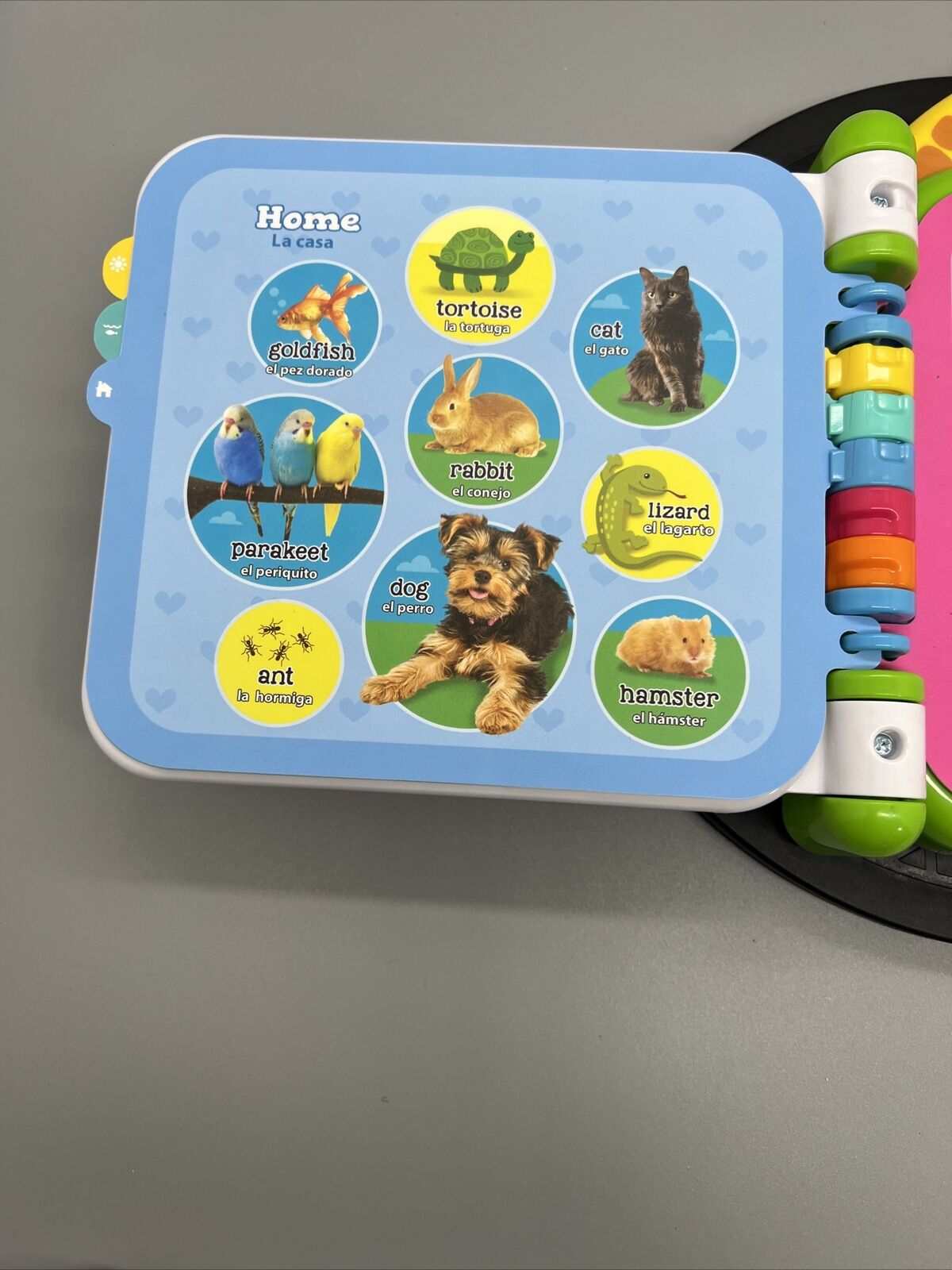 Leapfrog 100 Animals Book Spanish English Bilingual Teaching Learning