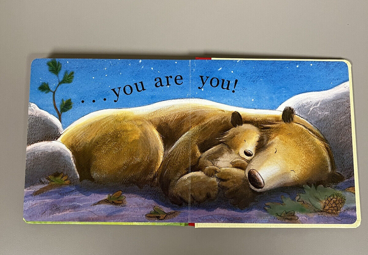 I Love You As Big As the World - board book, 9781589256033, David Van Buren
