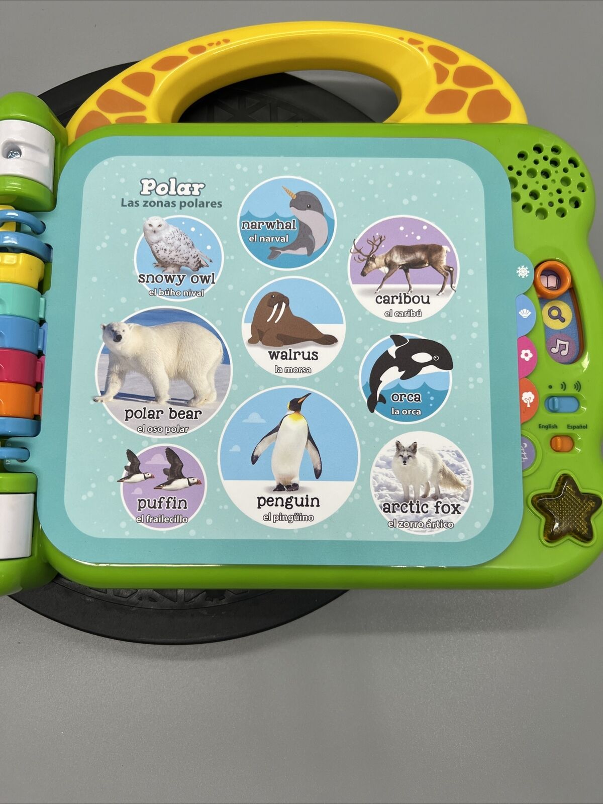 Leapfrog 100 Animals Book Spanish English Bilingual Teaching Learning