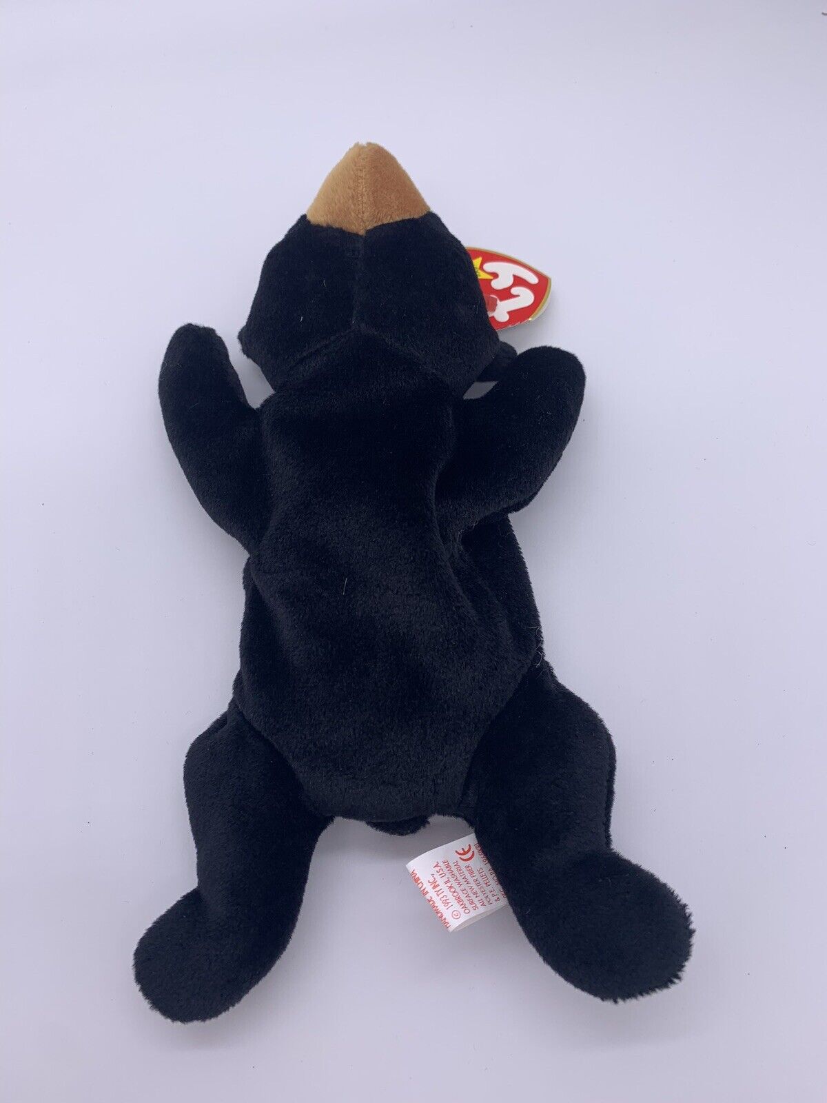 TY Beanie Baby - BLACKIE the Black Bear (8.5 inch)