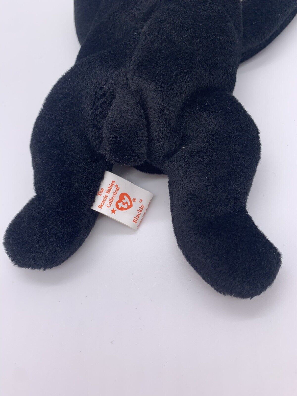 TY Beanie Baby - BLACKIE the Black Bear (8.5 inch)