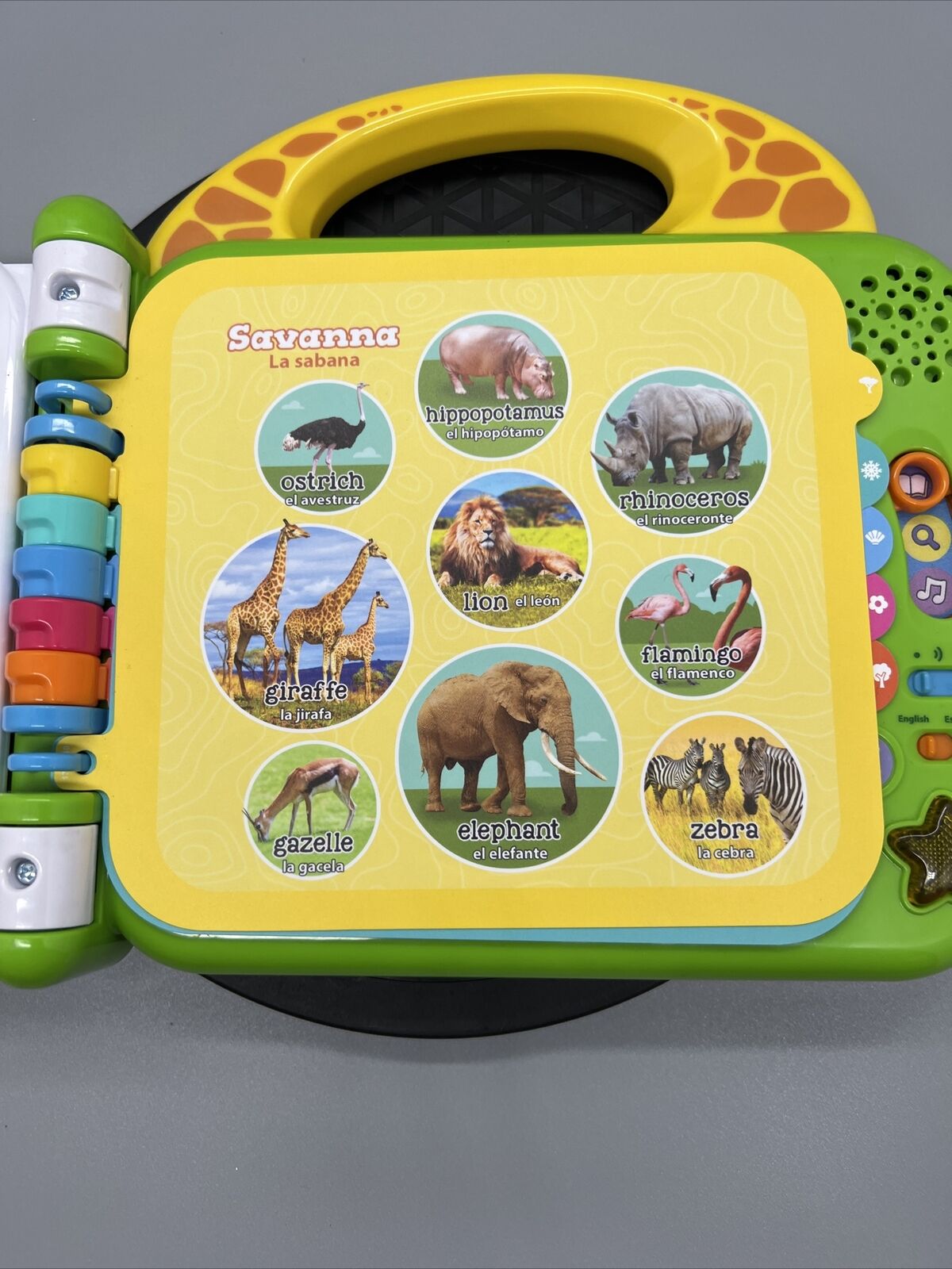 Leapfrog 100 Animals Book Spanish English Bilingual Teaching Learning