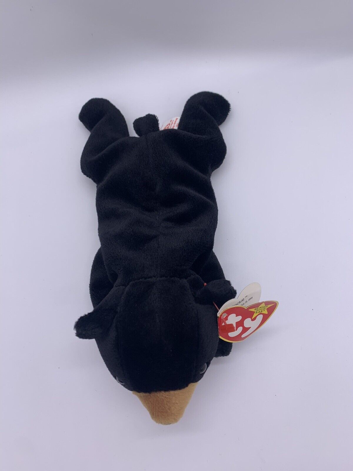 TY Beanie Baby - BLACKIE the Black Bear (8.5 inch)