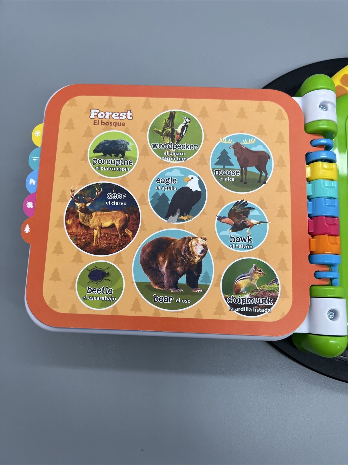 Leapfrog 100 Animals Book Spanish English Bilingual Teaching Learning