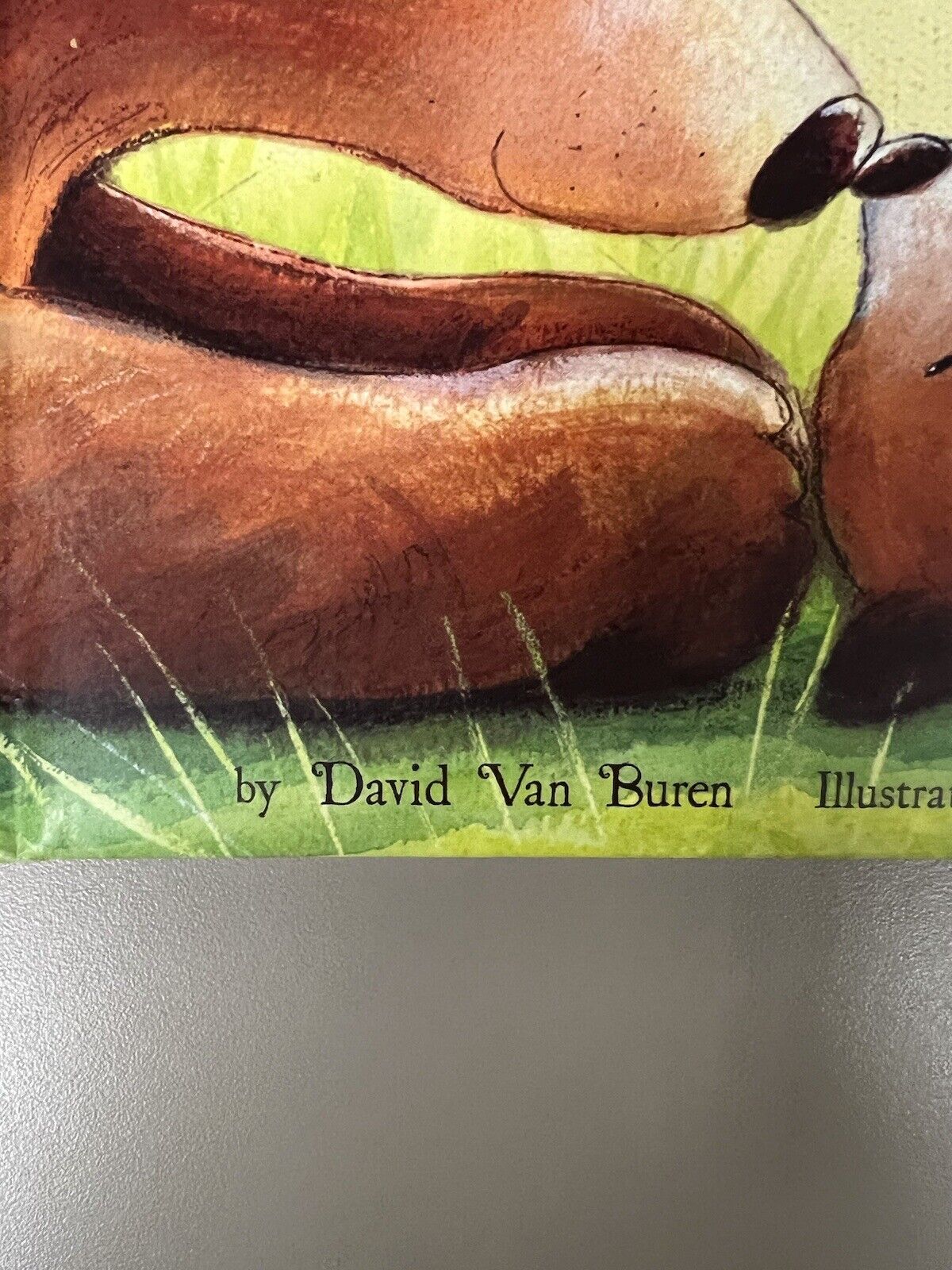 I Love You As Big As the World - board book, 9781589256033, David Van Buren